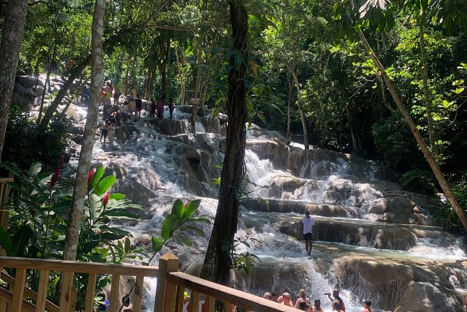 Dunn's River Falls, Zipline Adventure from Kingston - Zipping over Dunn’s River
