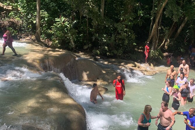 Dunn's River Falls, Zipline Adventure from Kingston - What $249 buys you