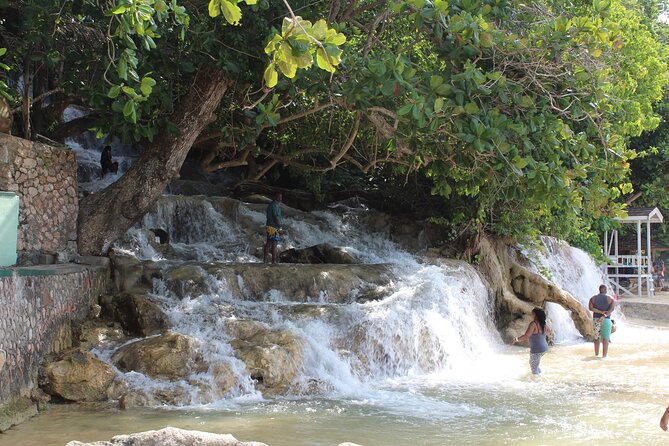 Dunn's River Park & Blue Hole Waterfall Combo from Montego Bay - Private Transport and Timing: What to Confirm