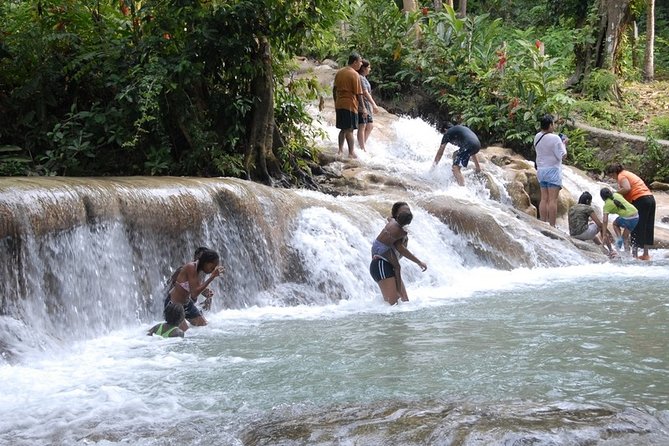Dunn's River Tour from Falmouth - Is $147.70 a fair price?