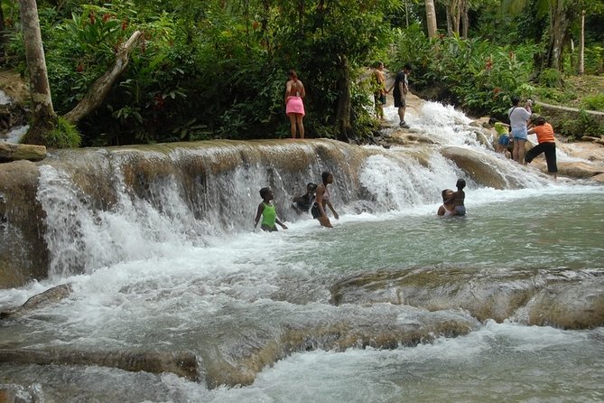 Dunn's River Tour from Falmouth - Who should book this Dunn’s River outing?