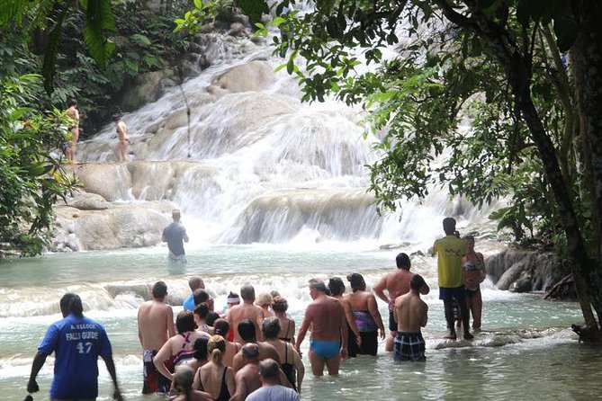 Dunns River Falls & Bob Marley - Is $158.50 per person a fair price?