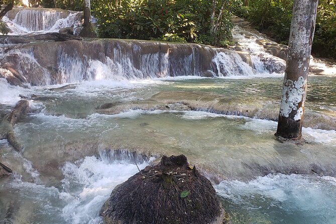 Dunns River Falls Experience from Montego Bay Resorts - Climbing Dunn’s River Falls near Ocho Rios