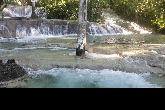 Dunns River Falls Experience from Montego Bay Resorts - The optional zipline above the tree line