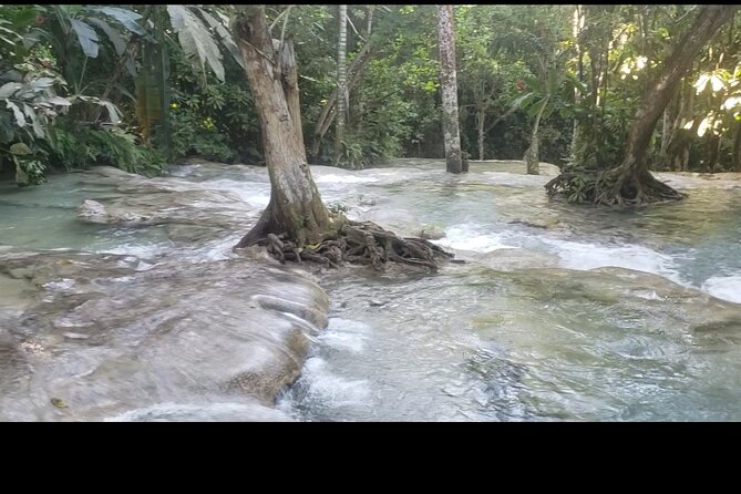 Dunns River Falls Experience from Montego Bay Resorts - The Montego Bay ride and what private really means