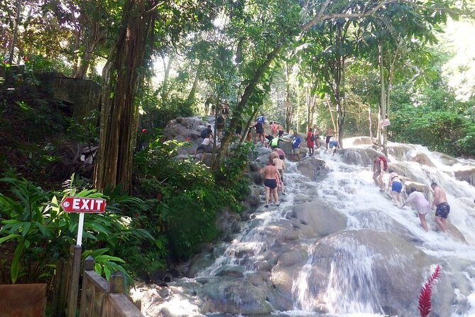 Dunns River Falls Private Day Tour - Why a private ride improves this Montego Bay outing