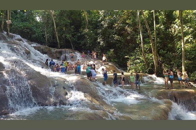 Dunns River Falls Private Day Tour - How the three-hour visit can work for you