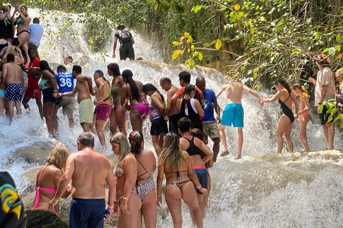 Dunns River Falls Private Day Tour - What the high rating tells you, and what it does not