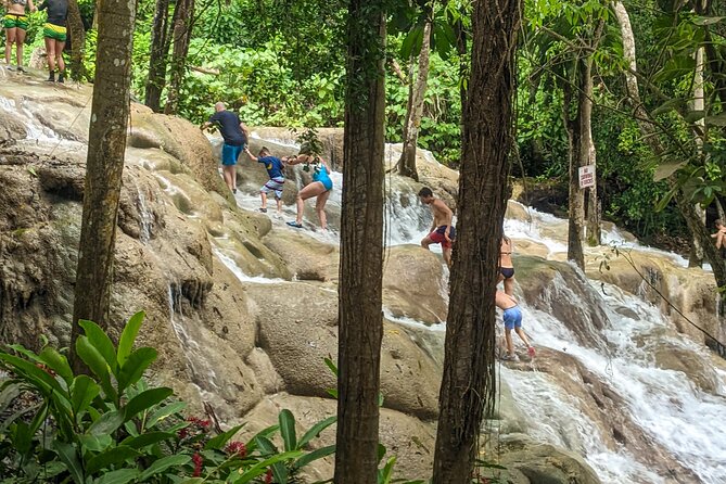 Dunns River Falls, Rafting, Zipline & Horseback from Montego Bay - Scotchies Drax Hall supplies the best food break