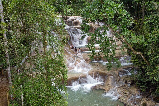 Dunns River Falls, Rafting, Zipline & Horseback from Montego Bay - What the $345 price means in practice