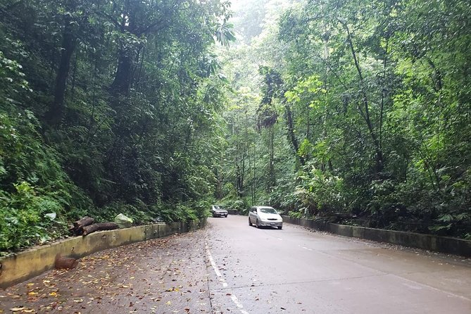 Dunns River Falls Scenic Tour - The mountain pass and Jamaica’s countryside