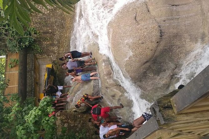 Dunns River Falls Scenic Tour - Who will enjoy this tour most