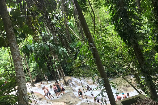 Dunns River Tour - Climbing the terraces with a guide