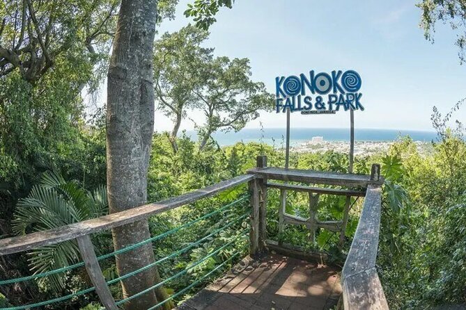 Eco Explorers Waterfall, Rainforest, local Shopping with lunch - What the guide and vehicle add to the day
