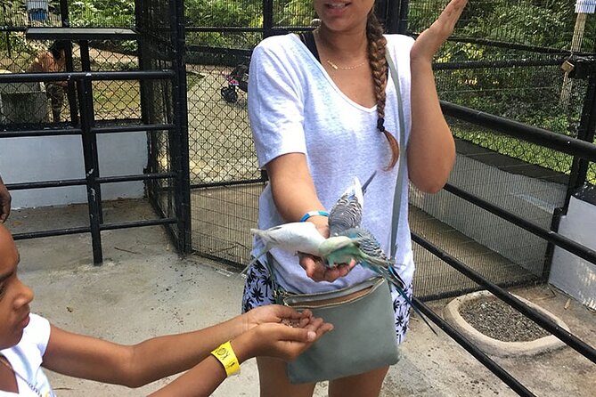 Eco Explorers Waterfall, Rainforest, local Shopping with lunch - Is $110 a fair price?