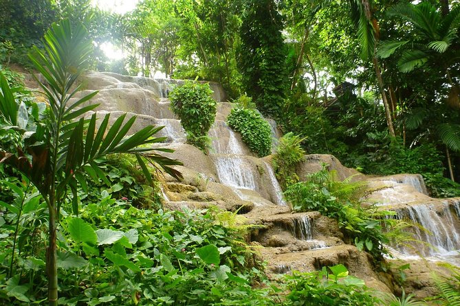 Eco Explorers Waterfall, Rainforest, local Shopping with lunch - Who will enjoy this four-hour outing