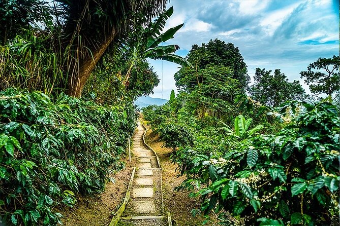 Exotic Blue Mountain Coffee Tour - Devon House and a practical Jamaican lunch