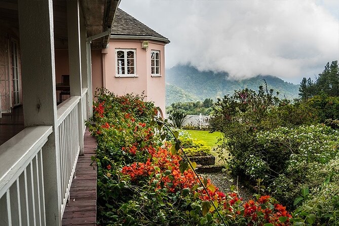Exotic Blue Mountain Coffee Tour - Optional Bob Marley Museum visit