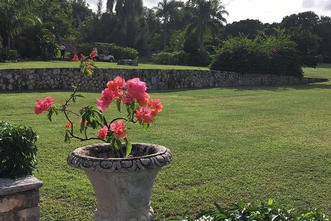 Explore Montego Bay Jamaica Rose Hall Great House Day/Night Tour - Who will enjoy this evening most