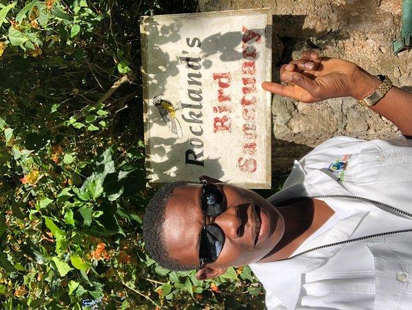 Explore Montego Bay Private Highlight Tour from Montego Bay - What the $70.52 price really buys