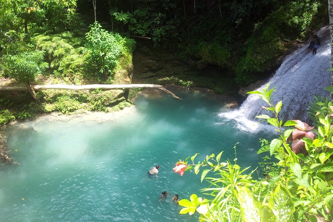 Falmouth Dunns River Falls and Blue Hole Excursion - Key points to know before you book