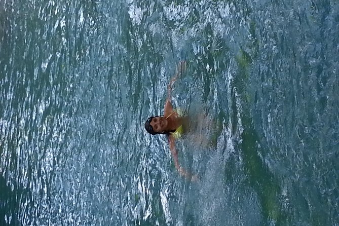 Falmouth Dunns River Falls and Blue Hole Excursion - Who should choose this excursion?