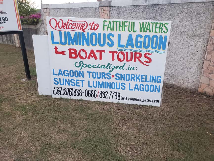 Falmouth: Luminous Lagoon Boat Tour - Swimming among blue-green flashes