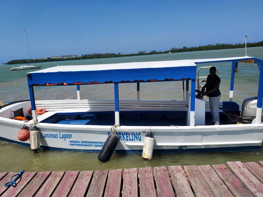 Falmouth: Luminous Lagoon Boat Tour - Is $25 good value for Falmouth?