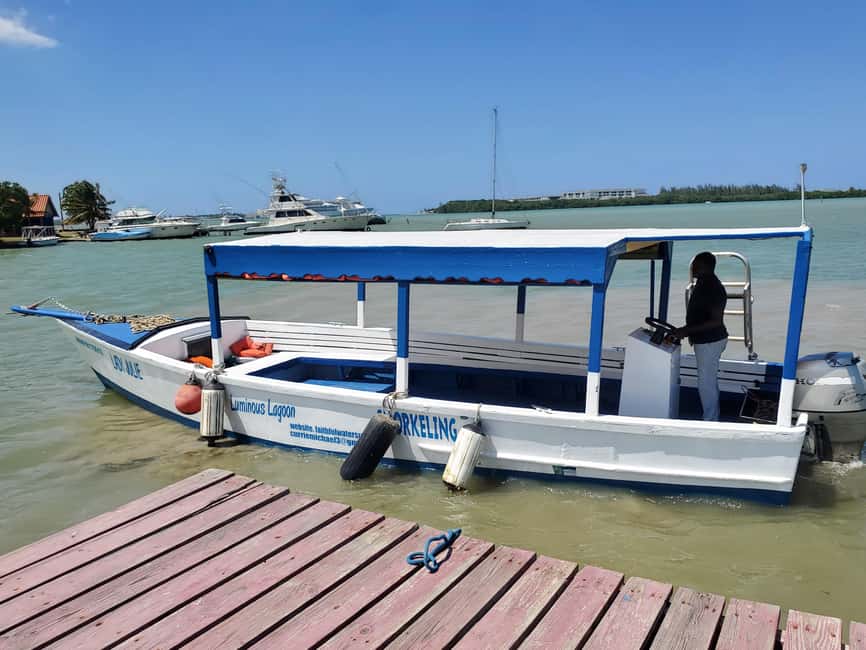 Falmouth: Luminous Lagoon Boat Tour - Who will enjoy this lagoon trip most?
