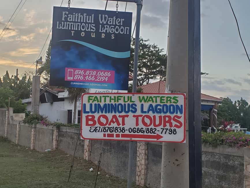 Falmouth: Luminous Lagoon Boat Tour - Booking details that can save you trouble