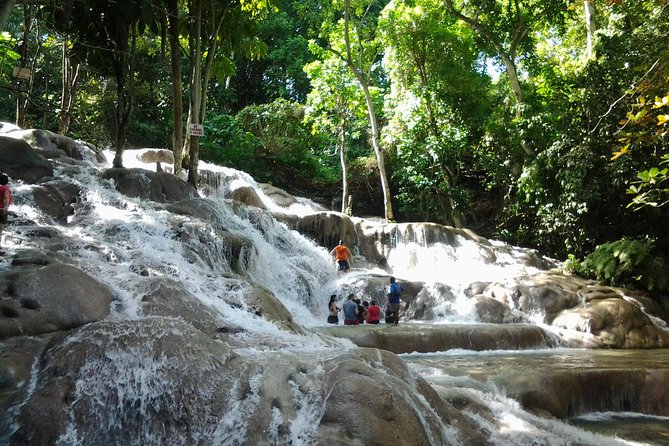 Falmouth Shore Excursion Dunn's River Falls - Key points to know before you book