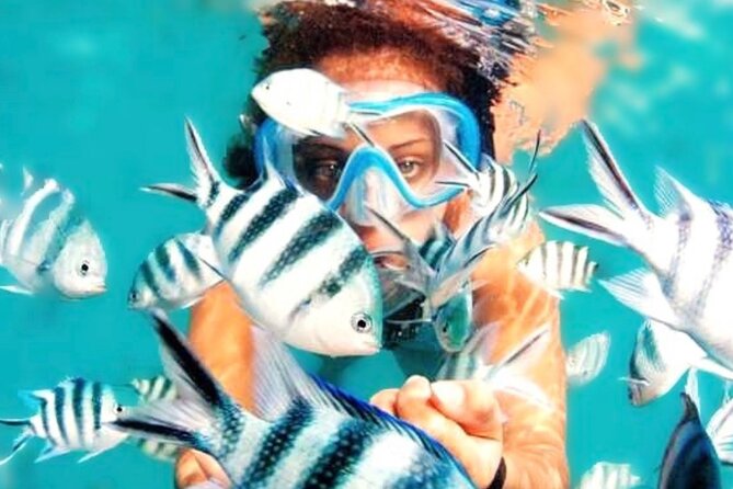 Family Fun-Snorkeling with Lunch Stop from Montego Bay - One hour to see fish, coral, and reef life