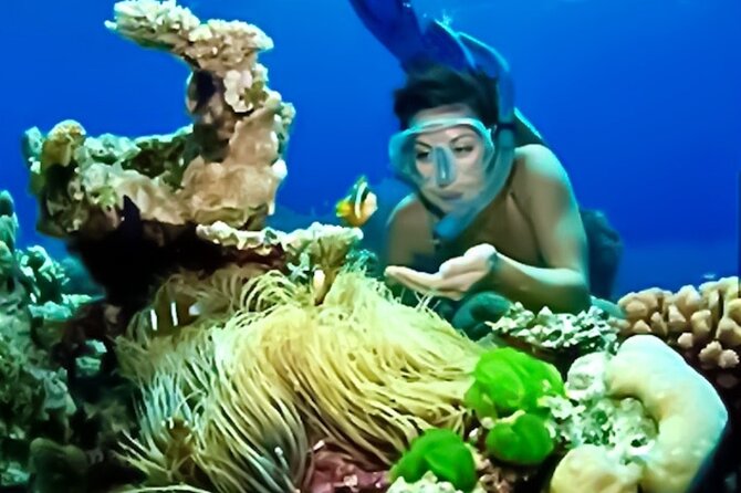 Family Fun-Snorkeling with Lunch Stop from Montego Bay - How this works for children and mixed-age groups