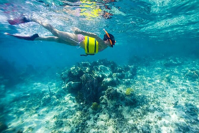 Family Fun-Snorkeling with Lunch Stop from Montego Bay - Is $110 a fair price?