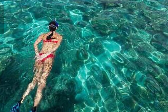 Family Fun-Snorkeling with Lunch Stop from Montego Bay - Who should book this Montego Bay snorkeling trip?