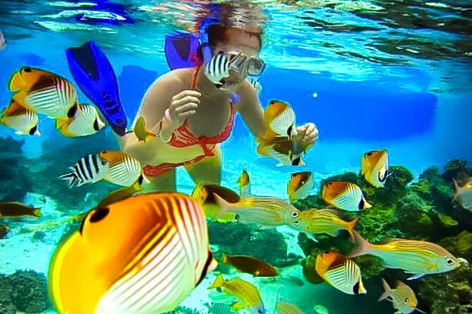 Family Fun-Snorkeling with Lunch Stop from Montego Bay - What the private transport adds to the day