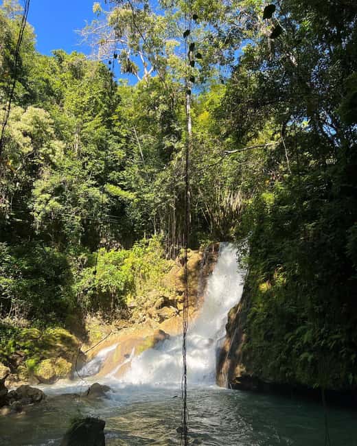 Floyd’s Pelican Bar, Ys Falls and Black River Safari Tour - How the day may run