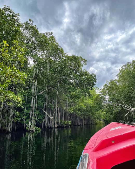 Floyd’s Pelican Bar, Ys Falls and Black River Safari Tour - Who will enjoy this Jamaican combination