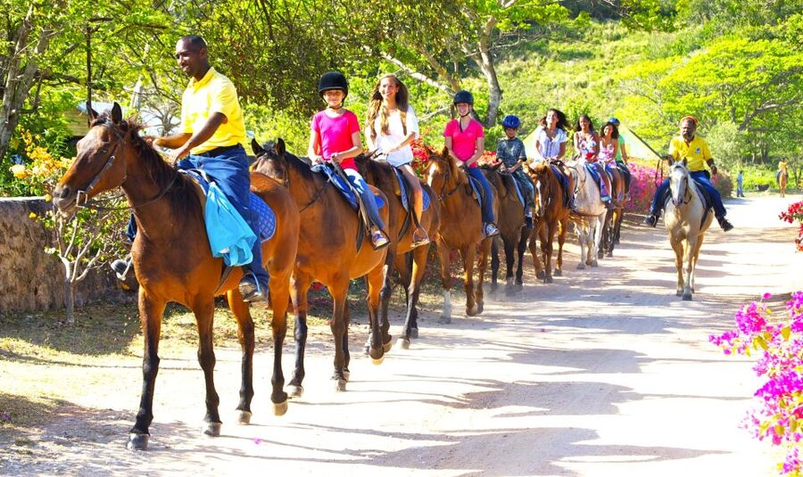 From Falmouth: Horseback Ride and Swim Beach Trip - The short horse-and-sea swim