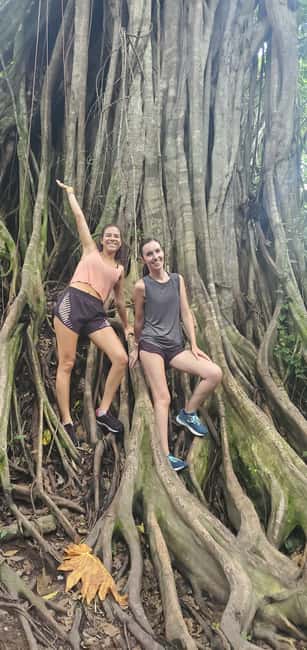 From Montego Bay: Blue Hole Waterfall Experience - What to Bring and What to Leave Behind