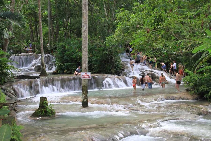 From Montego Bay: Dunn’s River Falls Experience - Should you book it?
