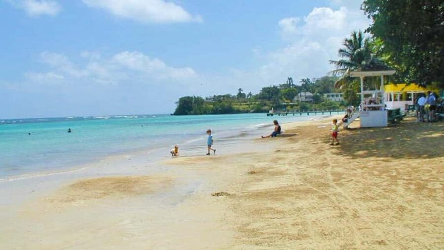 From Montego Bay: Dunn’s River Falls Experience - From Montego Bay, the ride shapes the day