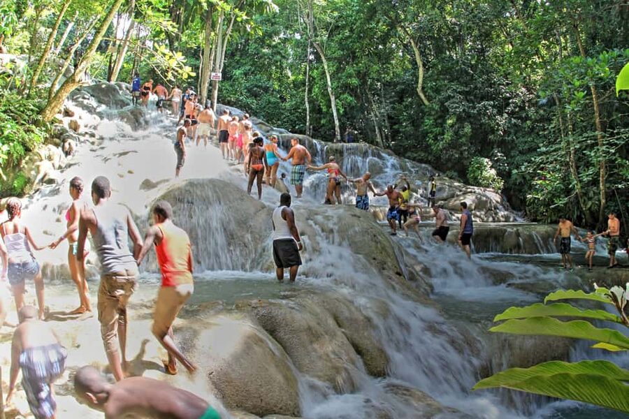 From Montego Bay: Dunn’s River Falls Experience - What the waterfall park offers beyond the climb