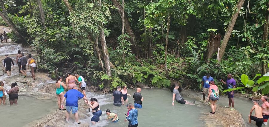 From Montego Bay: Dunn’s River Falls Experience - Is $135 a fair price?