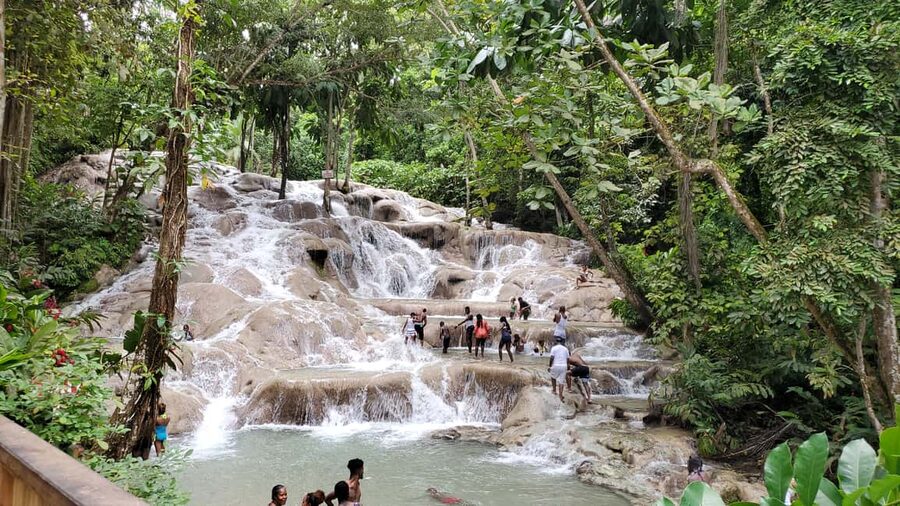 From Montego Bay: Dunn’s River Falls Experience - Who should book this Dunn’s River Falls trip?