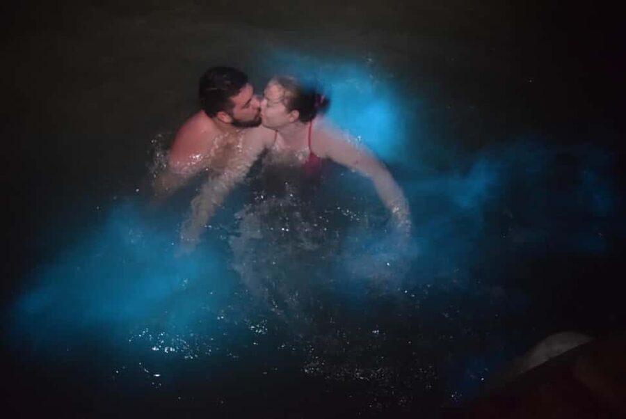 From Montego Bay: Luminous Lagoon Night Tour - Why the Luminous Lagoon feels different at night