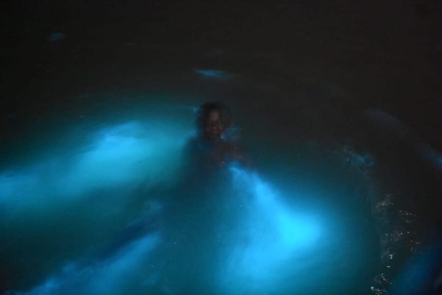 From Montego Bay: Luminous Lagoon Night Tour - What the guide adds to the experience