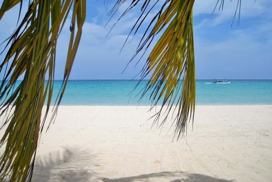 From Montego Bay: Negril Beach and Rick's Café Day Trip - Key points to know before you go