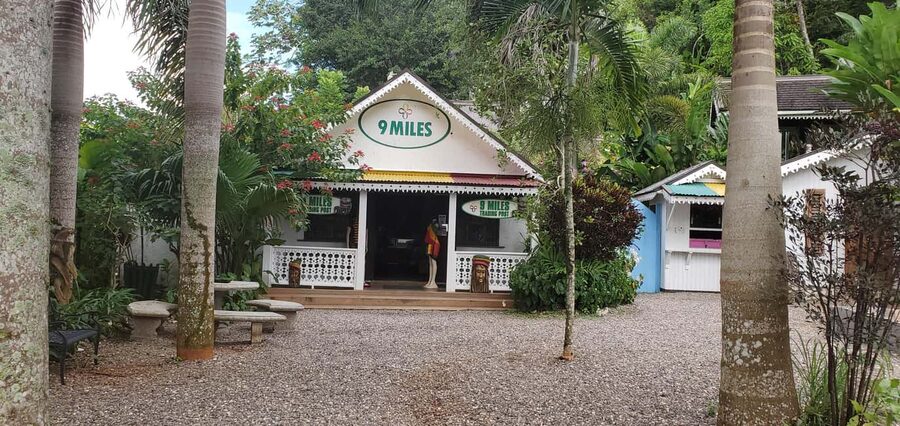 From Montego Bay: The Bob Marley Guided Tour of Nine Mile - Practical advice for a better visit