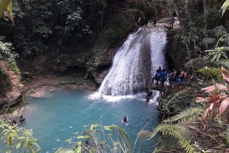 From Ocho Rios: Blue Hole & Dunn's River Falls Tour - Dunn’s River Falls: a 600-foot climb through moving water